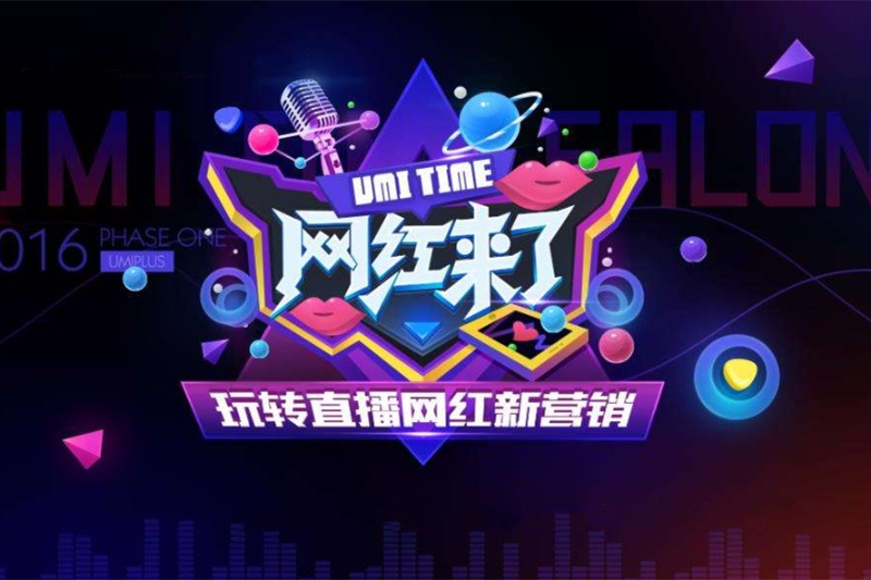 网红经济swot论文 网红经济swot论文