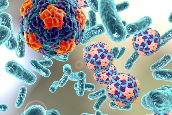 【生物医药论文发表】生物医药技术转移新模式研究(范文) 【生物医药论文发表】生物医药技术转移新模式研究(范文)