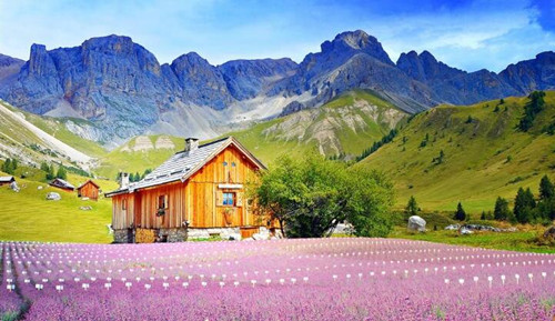 【园林景观设计论文】范文:景观绿化苗木种植技术 【园林景观设计论文】范文:景观绿化苗木种植技术
