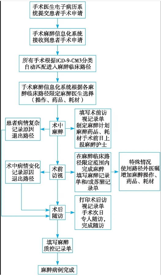 图1 麻醉临床路径执行流程